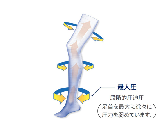 ジョブスト ベラバー2 ストッキング つま先なしタイプ（取寄2週間） JP