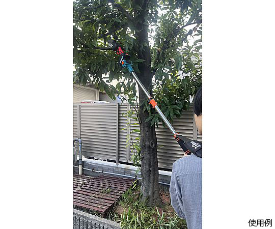 69-8262-79 2WAY 太枝切っ太郎 伸縮式ポールソー付 AFT-18VSPS 【AXEL