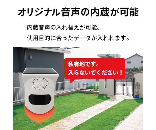 お客 Amazon | KN企画 スーパーディオZX スーパーDIOZX SR AF27 AF28