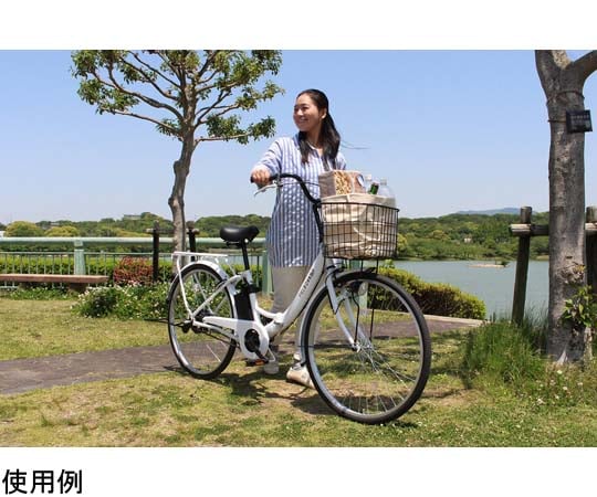 69-8917-77 FIELD CHAMP 電動アシスト26インチ折畳み軽快車 MG