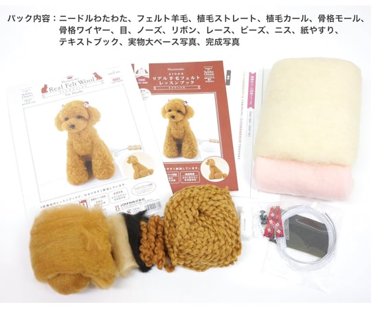 取扱を終了した商品です］69-9081-25 リアル羊毛フェルト レッスン