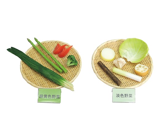 フードモデル(糖尿病指導/減塩食指導/野菜組み合わせ/食品20品目