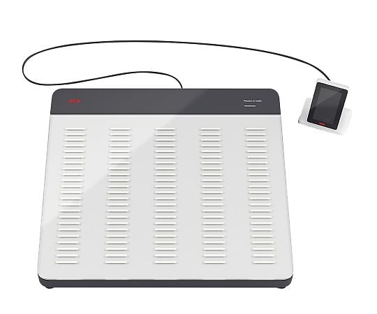 フラットスケール　検定付　3級