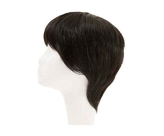HP7-5663-01フルウィッグ男性用ＲＭＦ－１－ＴＢＫ【1台】(as1-7-5663-01)