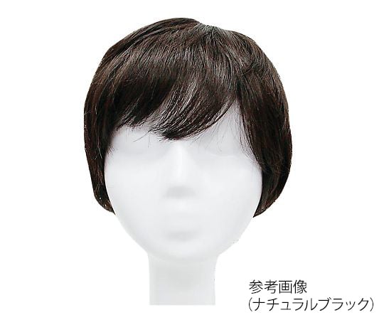 7-5663-02 R＆F WIG リアルファイバーフルウィッグ男性用 ナチュラルブラック RMF-6-TNK