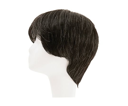 HP7-5663-03フルウィッグ男性用ＲＭＦ－１－ＴＸ５【1台】(as1-7-5663-03)