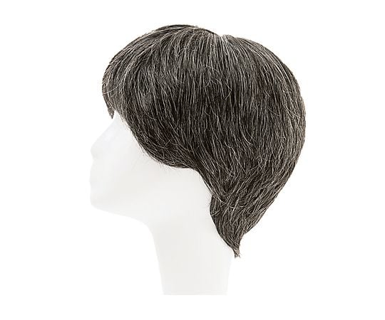 HP7-5663-04フルウィッグ男性用ＲＭＦ－１－ＴＸ２０【1台】(as1-7-5663-04)