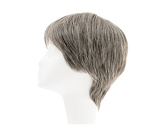 HP7-5663-05フルウィッグ男性用ＲＭＦ－１－ＴＸ５０【1台】(as1-7-5663-05)