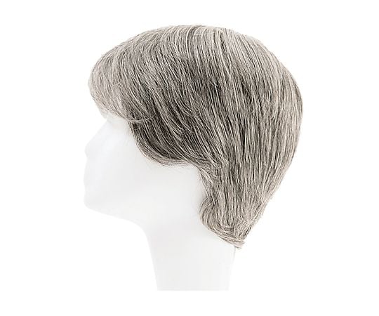 HP7-5663-06フルウィッグ男性用ＲＭＦ－１－ＴＸ７０【1台】(as1-7-5663-06)