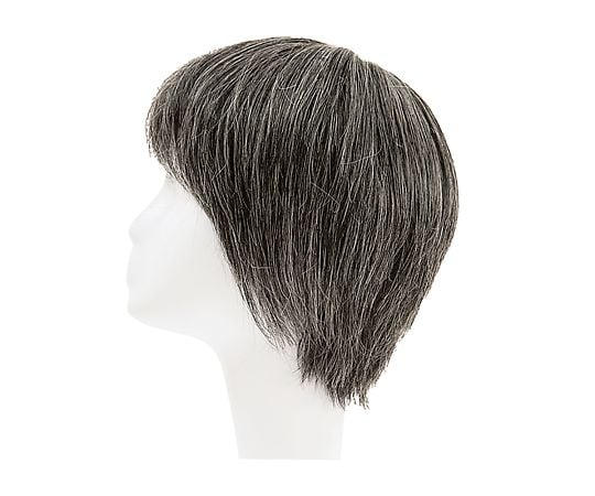 HP7-5670-08フルウィッグ女性用ＲＬＦ－１－ＴＸ２０【1台】(as1-7-5670-08)