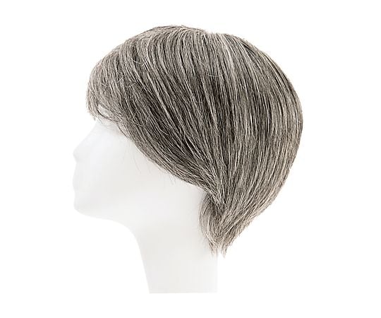 HP7-5670-09フルウィッグ女性用ＲＬＦ－１－ＴＸ５０【1台】(as1-7-5670-09)