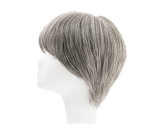 HP7-5670-10フルウィッグ女性用ＲＬＦ－１－ＴＸ７０【1台】(as1-7-5670-10)