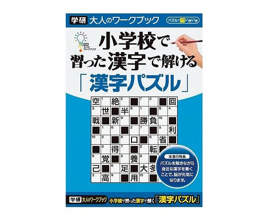 7-6066-08 大人のワークブック 漢字パズル N055-08