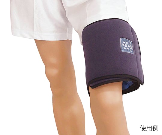 【クラスⅠ】エクセルプラン7-6268-06コールドラップEV2LM-806PM(S【1セット】(as1-7-6268-06)