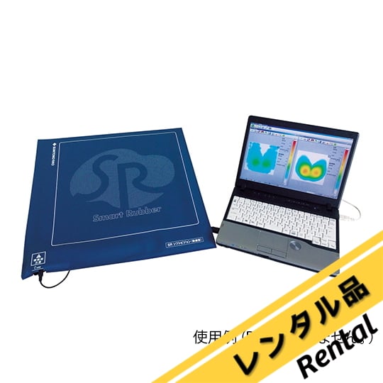 限定１セット！アガパンサス　ロイヤルベルベット特大親株サービスセット ベルト つや消し | 総合スポーツ企業グループ ゼット オンライン