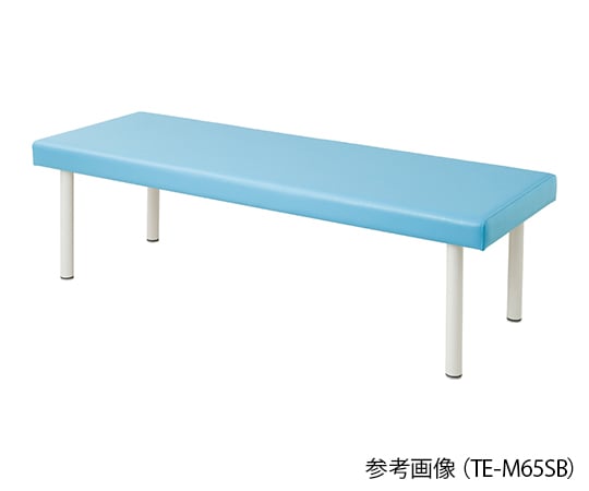 アズワン ナビス 7-7501-01 カラフル診察台 ベッド高さ600mm スカイブルー 受注生産 カラフル診察台 ベッド高さ600mm TE-H60シリーズ プロシェア(ナビス