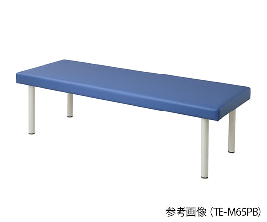 【組立必要】ナビス(アズワン)7-7503-02 カラフル診察台（ベッド高さ600mm） ライトブルー TE-H70PB