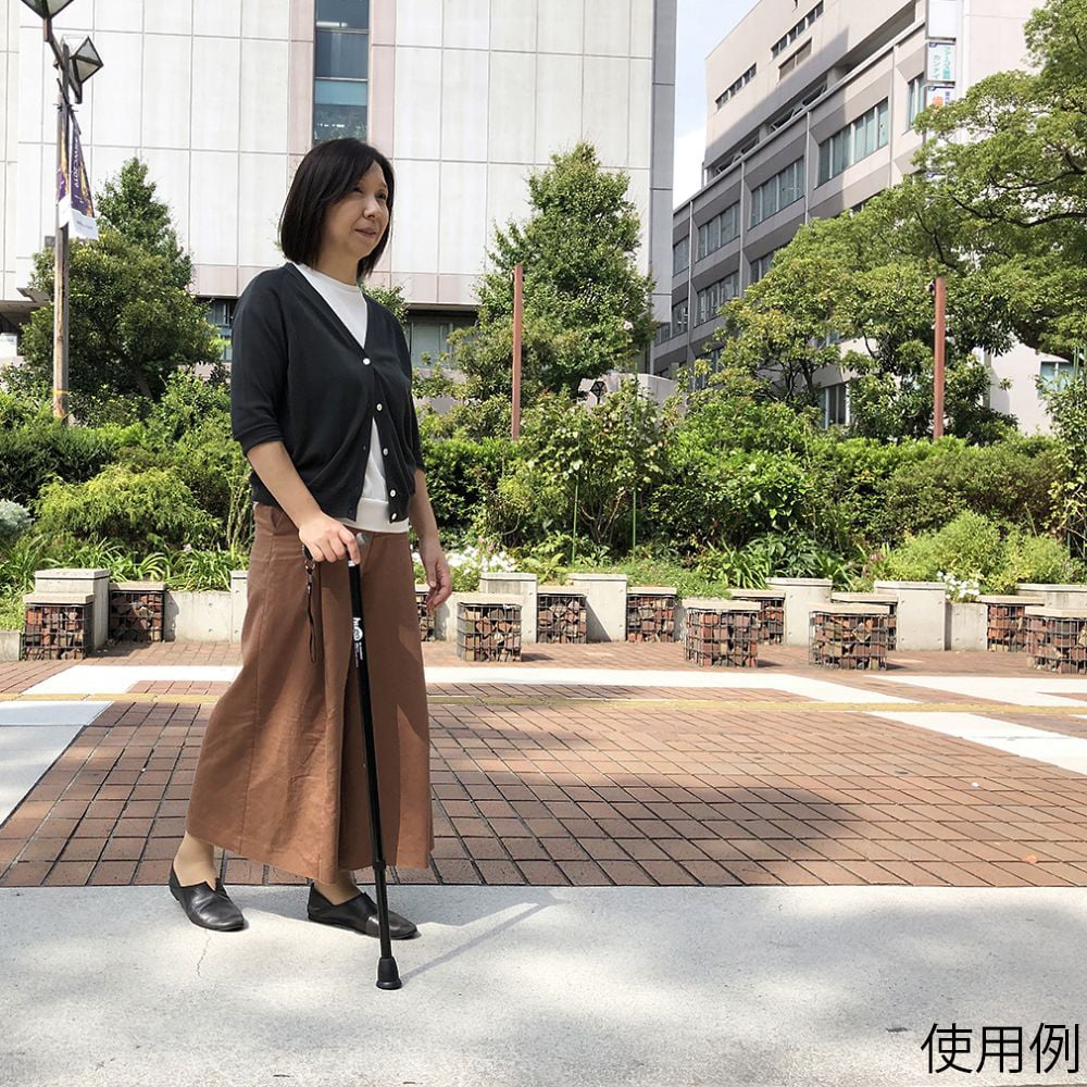 竹虎 ヒューゴステッキ ブラック 全長 日本未発売 竹虎 ヒューゴステッキ ブラック 全長 日本未発売