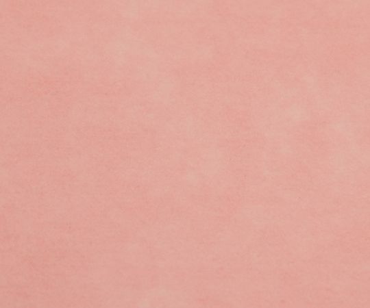 ディスポ防炎カーテン　面ファスナー式175　ピンク