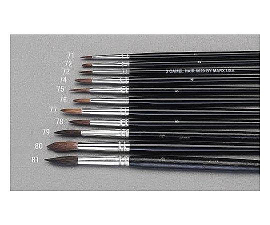 ５号 丸筆(ﾗｸﾀﾞ毛)