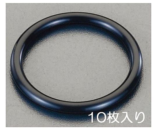 P-21  オーリング (ﾌｯ素ｺﾞﾑ/10個)(運動用)
