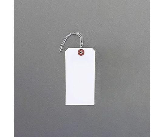 120x60mm 針金付防水荷札(ﾎﾜｲﾄ/5枚)