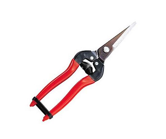 190mm はさみ・摘果