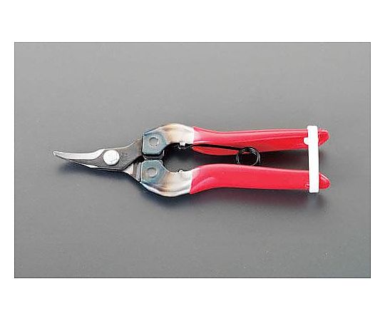 155mm はさみ・摘果