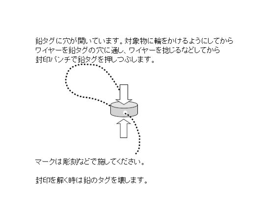 250mm 封印鉛付ワイヤー(100本)　EA591H-1