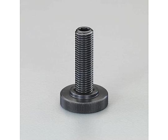 M16x 55mm サポートスクリュー