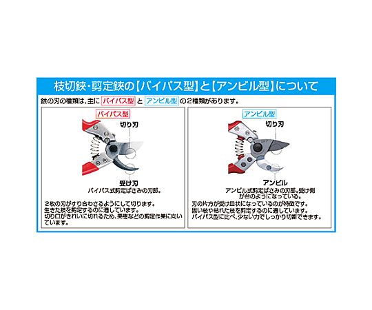 78-0459-77 770mm 枝切鋏(ﾗﾁｪｯﾄ式) EA650AC-35 【AXEL】 アズワン