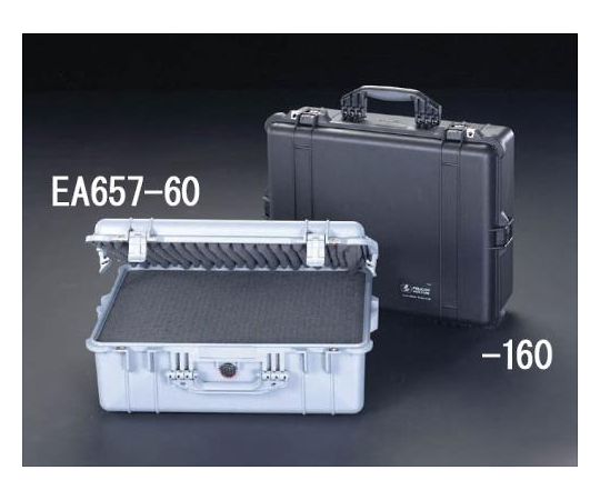 544x419x200mm/内寸 防水ケース OD/ウレタン無 エスコ ESCO EA657-160GN-