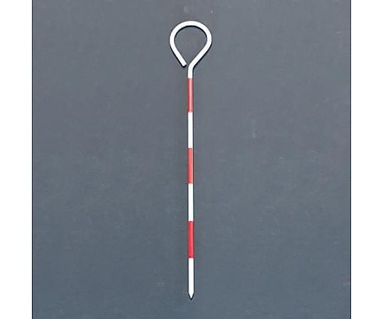 30cm ピンポール(10本)