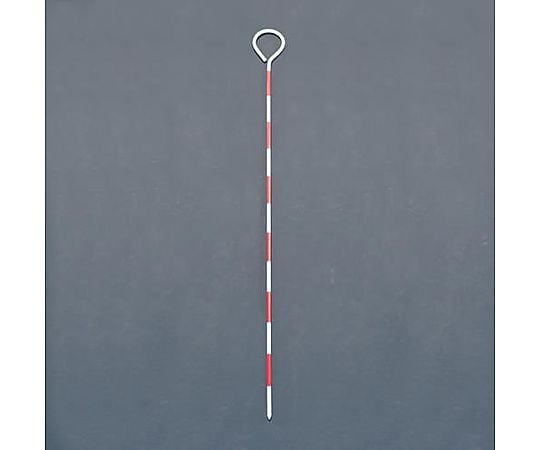 60cm ピンポール(10本)