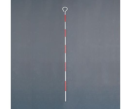 100cm ピンポール(10本)