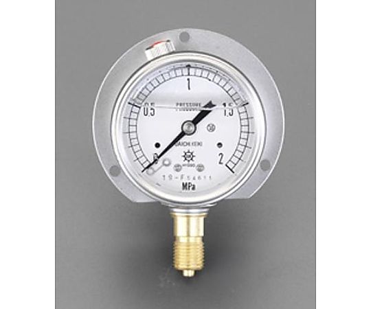 100mm/0-0.6MPa つば付圧力計(ｸﾞﾘｾﾘﾝ入)