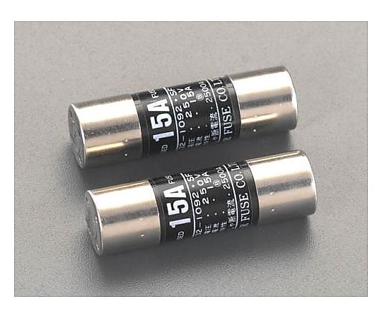 250Vx 10A/φ15mm 筒型ｴﾝｸﾛヒューズ(2本)