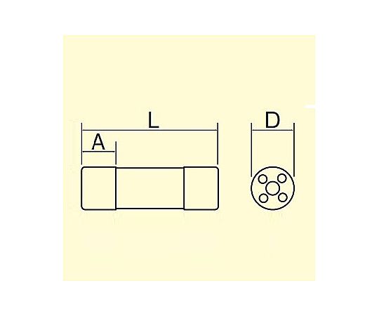 250Vx 10A/φ15mm 筒型ｴﾝｸﾛヒューズ(2本)
