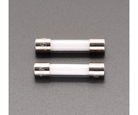 250Vx 10A/φ5.2mm 管ﾋｭｰｽﾞ(消弧剤入/2本)