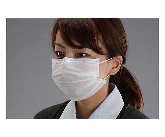 マスク(簡易粉塵/50枚)