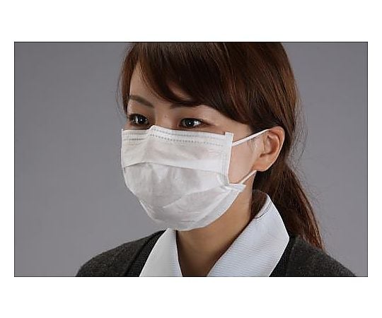 マスク(簡易粉塵/100枚)