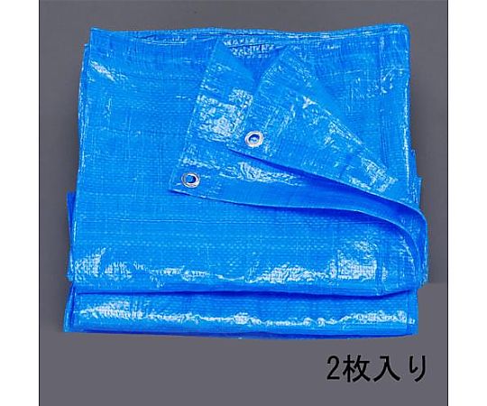 10x 10m/0.06mm ブルーシート(2枚)