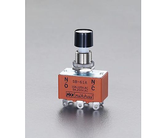 125V/10A 押ボタンスイッチ(２極双投/小型)