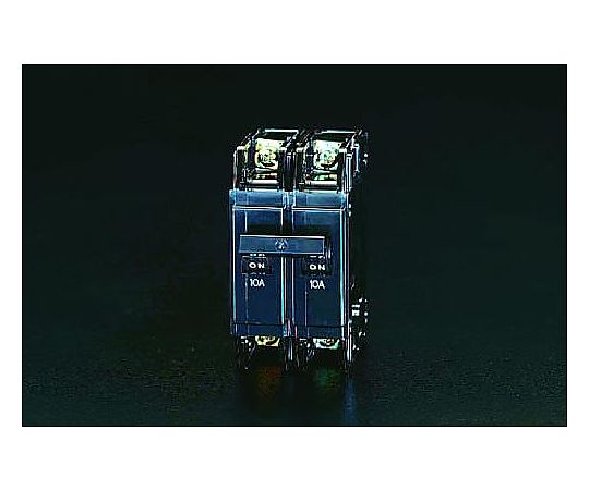 15A/AC110-220V 制御盤用遮断器