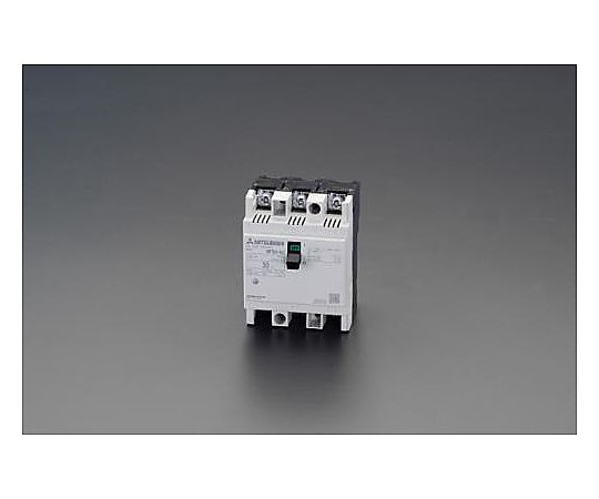 AC220V/ 40A ノーヒューズ遮断器