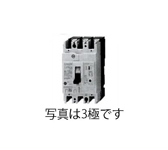 代引不可】【個人宅配送不可】ESCO(エスコ) AC100-230V/ 20A/2極 漏電