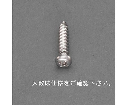 2 x 10mm  鍋頭ﾀｯﾋﾟﾝｸﾞﾋﾞｽ(ｽﾃﾝﾚｽ製/40本)