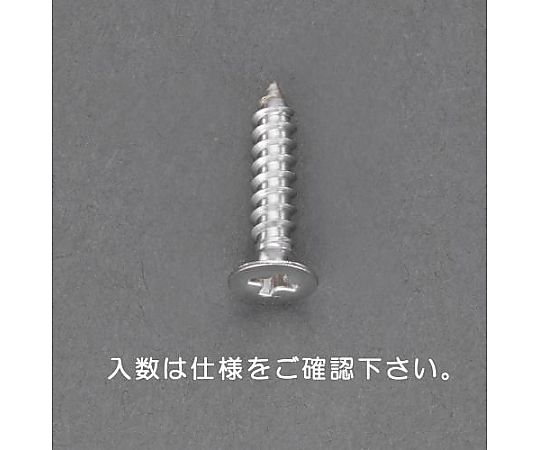 6 x100mm  皿頭ﾀｯﾋﾟﾝｸﾞﾋﾞｽ(ｽﾃﾝﾚｽ製/10本)