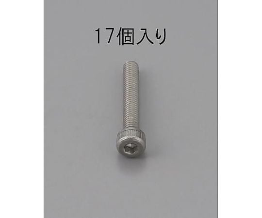 M6 x 10mm 六角穴付ボルト(ｽﾃﾝﾚｽ製/17本)