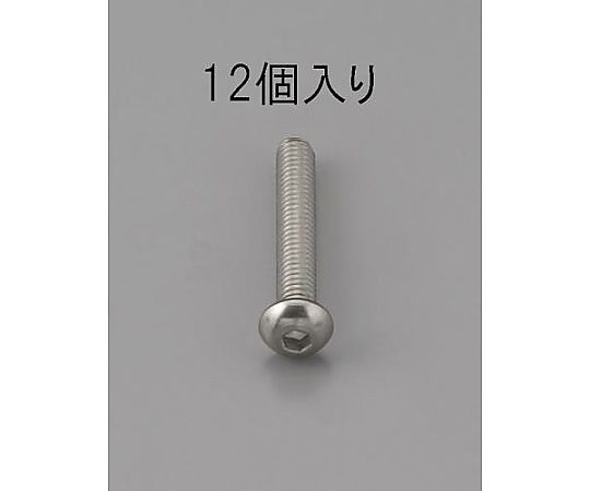 M6 x12mm 六角穴付鍋頭ﾎﾞﾙﾄ(ｽﾃﾝﾚｽ製/12本)